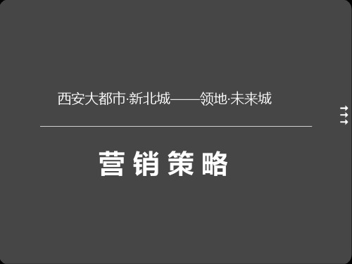 XXXX年西安大都市·新北城领地·未来城营销策略