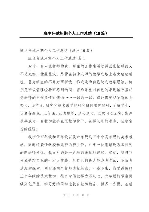 班主任试用期个人工作总结(16篇)