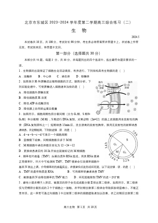 东城区2024届高三二模生物试题及答案