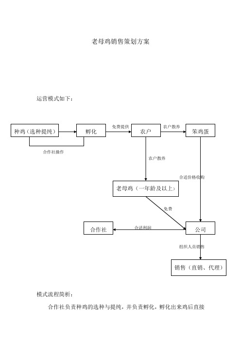 老母鸡营销策划方案