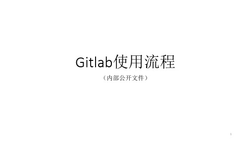 Gitlab使用流程ppt课件