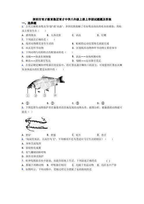 深圳市育才教育集团育才中学八年级上册上学期试题题及答案