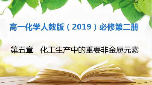 硝酸 酸雨及防治(课件)高一化学(人教版2019必修第二册)