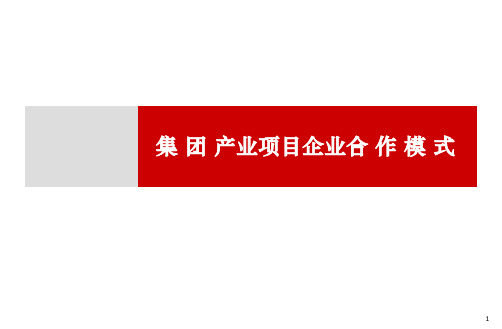 集团产业项目合作企业合作模式