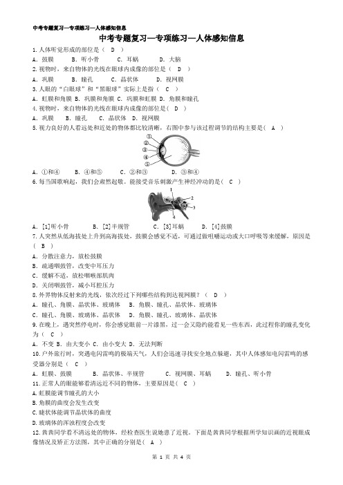 苏教版初中生物中考复习—题—11人体感知信息——有答案