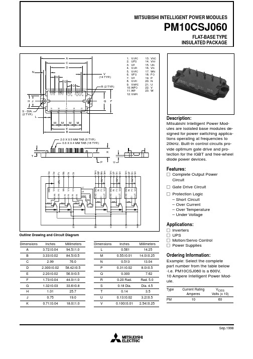 PM10CSJ060中文资料