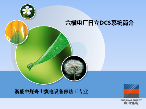 六横电厂日立DCS系统简介(卓鲁锋)