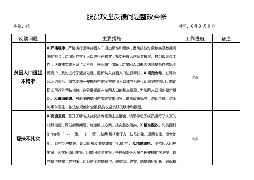 脱贫攻坚反馈问题整改台账