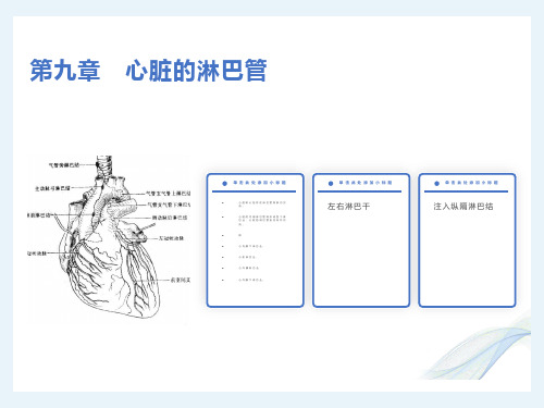 心脏淋巴心包