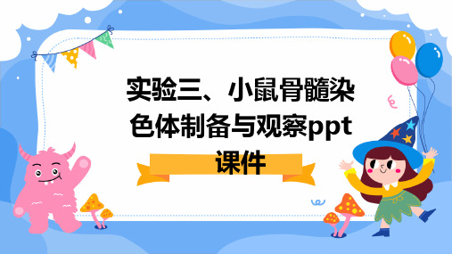 实验三、小鼠骨髓染色体制备与观察PPT课件