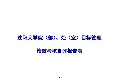 2012年度目标管理绩效考核自评报告表