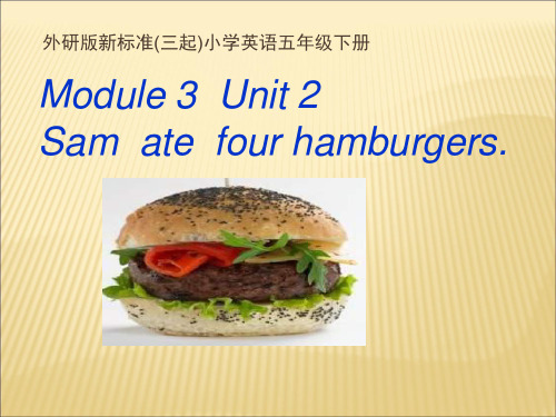 五年级英语下册课件-Module 3 Unit 2 Sam ate four hamburgers.419-外研版（三起）