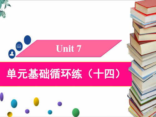 Unit 7 人教版英语八年级下册单元基础循环练(二)(25张)