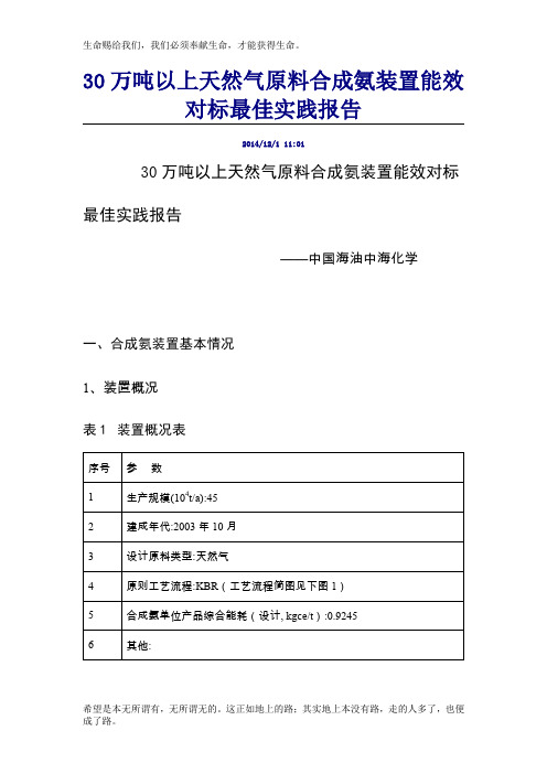 30万吨以上天然气原料合成氨装置能效对标最佳实践报告(1)