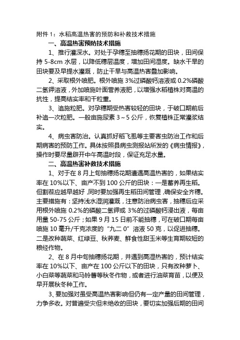 水稻高温热害的预防和补救技术措施