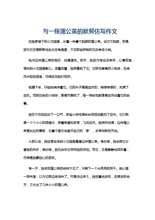 与一株蒲公英的默契仿写作文