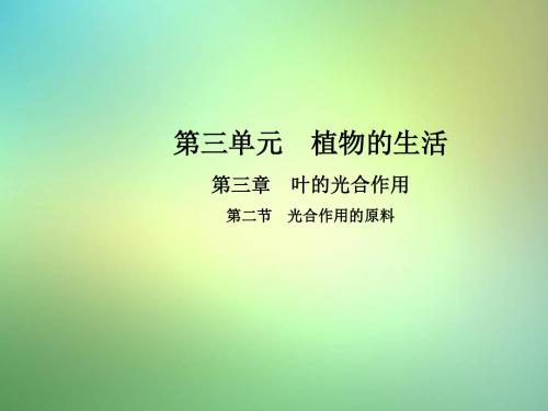 八年级生物上册3.3.2光合作用的原料课件(新版)冀教版