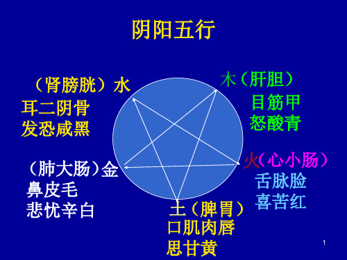 阴阳五行颜面望诊27 优质课件