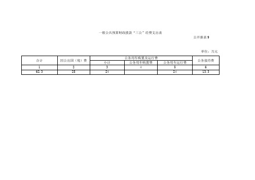 一般公共预算财政拨款三公经费支出表