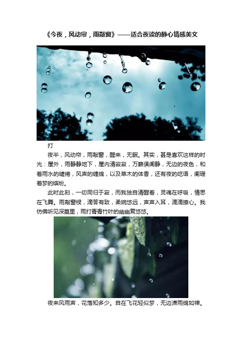 《今夜，风动帘，雨敲窗》——适合夜读的静心情感美文