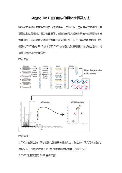 磷酸化TMT蛋白组学的具体步骤及方法