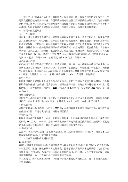 新兴产业聚集区专项规划