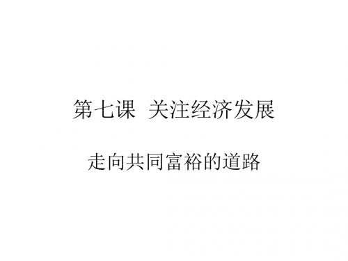 2017人教版九年级思想品德全册3.7.2 走向共同富裕的道路 (共23张PPT)