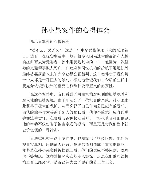 孙小果案件的心得体会