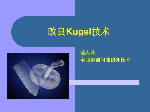 改良Kugel技术