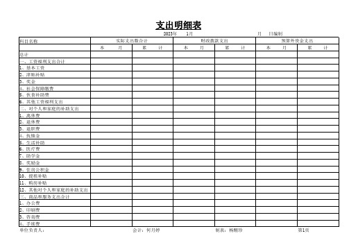 公司支出明细表