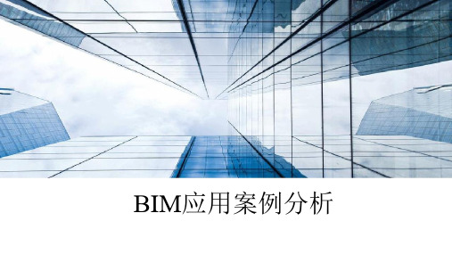 BIM应用案例分析讲义课件