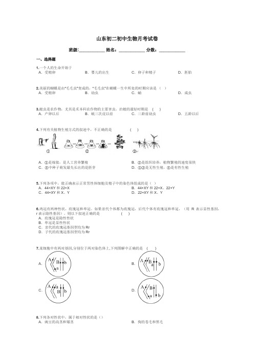 山东初二初中生物月考试卷带答案解析
