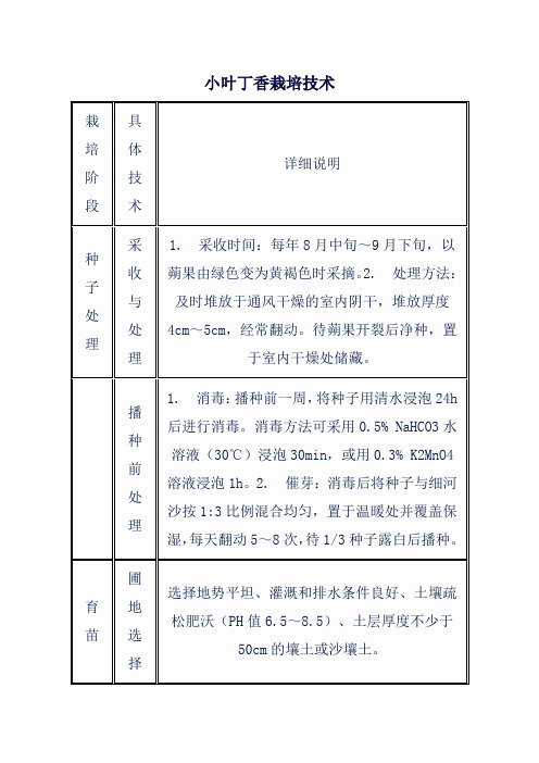 小叶丁香栽培技术