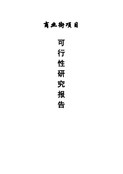 商业街建设项目可行性研究报告定稿