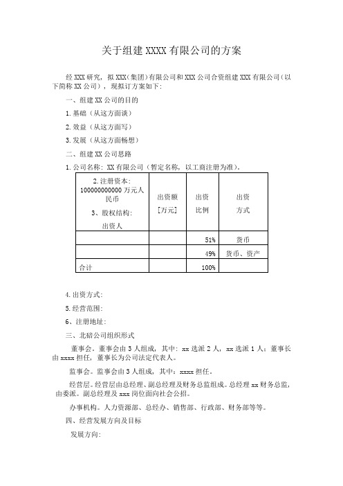 公司组建方案(草稿)