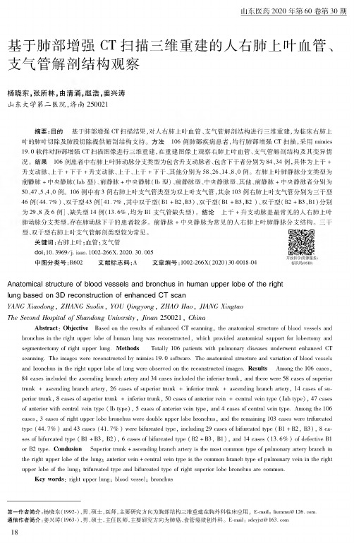 基于肺部增强CT扫描三维重建的人右肺上叶血管、支气管解剖结构观察