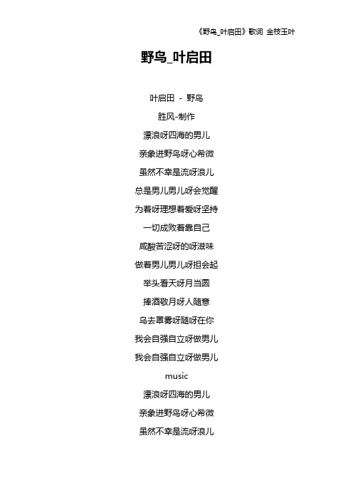 《野鸟_叶启田》歌词 金枝玉叶