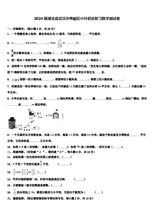 2024届湖北省武汉市黄陂区小升初总复习数学测试卷含解析