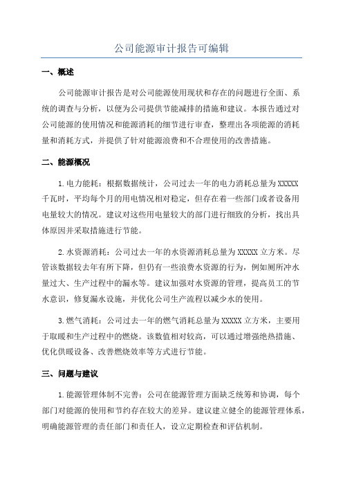 公司能源审计报告可编辑