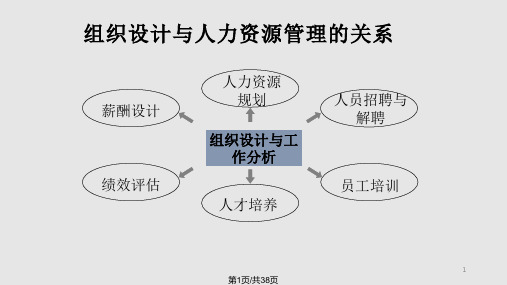 组织设计与工作分析概论给学生PPT课件