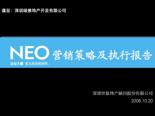 20081027_绿景NEO企业大道_营销策略及执行报告(终稿)