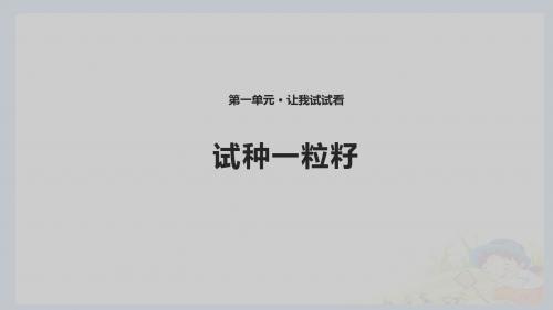 部编版人教版道德与法治二年级下册：4试种一粒籽课件(共10张PPT)优选ppt课件