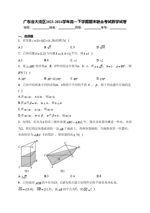 广东省大湾区2023-2024学年高一下学期期末联合考试数学试卷(含解析)