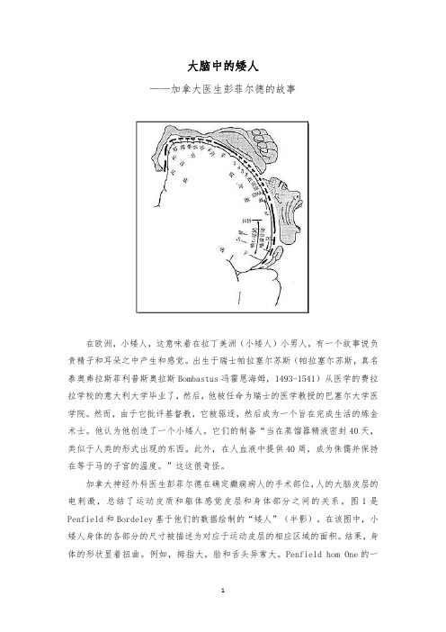 大脑中的矮人——加拿大医生彭菲尔德的故事