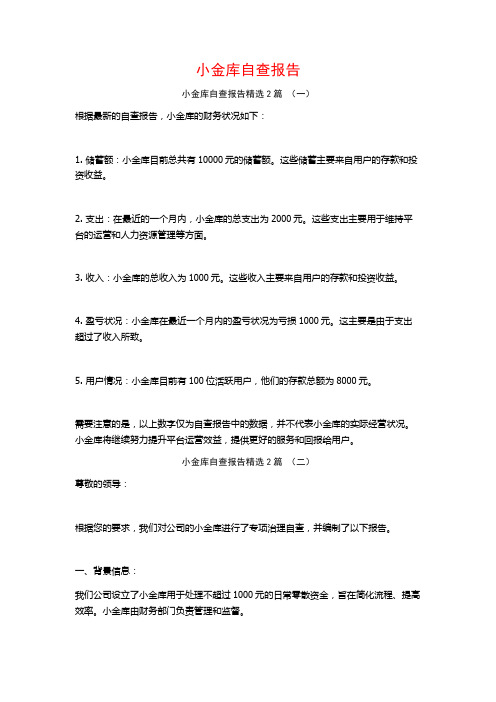 小金库自查报告2篇