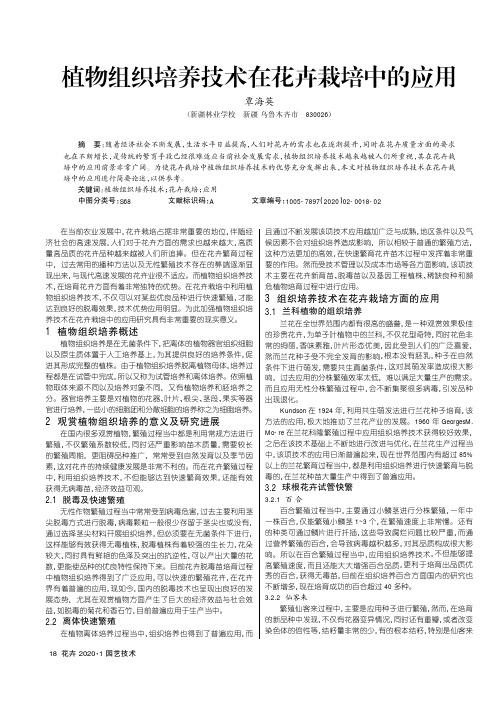 植物组织培养技术在花卉栽培中的应用