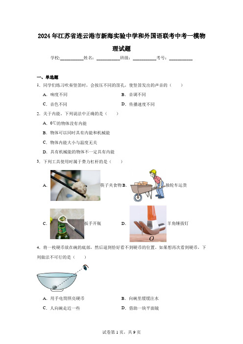 2024年江苏省连云港市新海实验中学和外国语联考中考一模物理试题