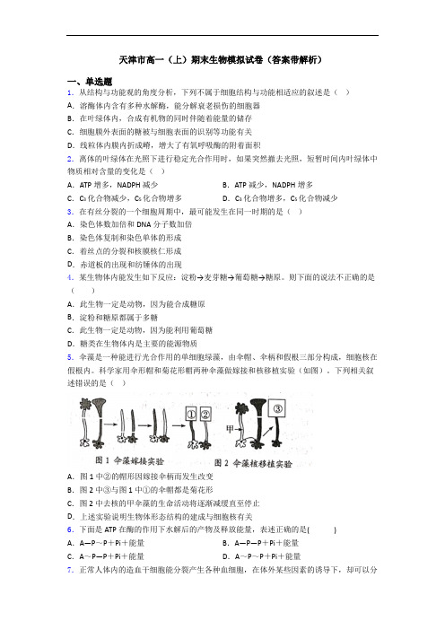 天津市高一(上)期末生物模拟试卷(答案带解析)
