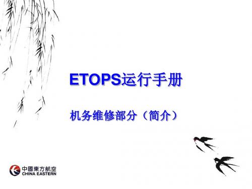 ETOPS简介-精品文档