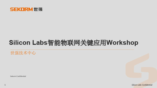 Silicon Labs智能物联网关键应用Workshop